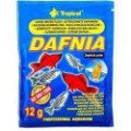 TROPICAL DAFNIA 12G