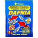 TROPICAL DAFNIA 12G