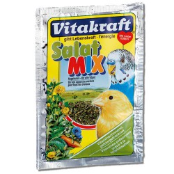 VIT-WITAMINY SALAT MIX 10G