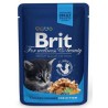 BRIT KOT 100g KITTEN CHICKEN KAWAŁKI KURCZAKA W SOSIE SASZETKA
