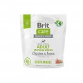 BRIT CARE 1kg ADULT MEDIUM CHICKEN INSECT- SUSTAINABLE