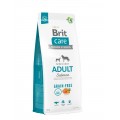 BRIT CARE 12kg ADULT SALMON GRAIN FREE