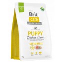 BRIT CARE 3kg PUPPY CHICKEN INSECT- SUSTAINABLE