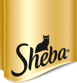 Sheba Sheba