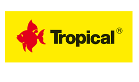 Tropical Tropical