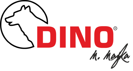 Dino Dino