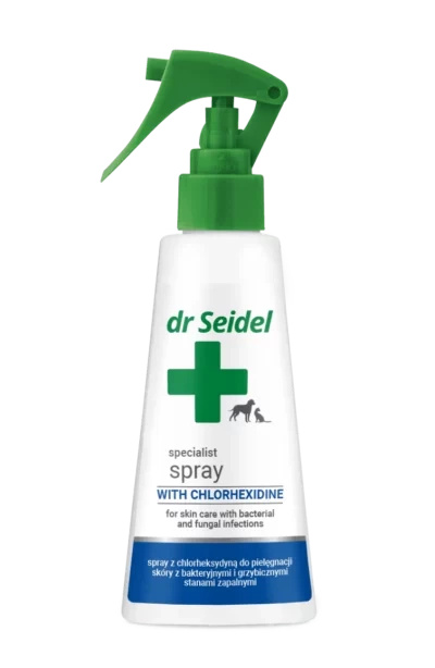 DERMA-SPRAY Z CHLORHEKSYDYNĄ 100ml