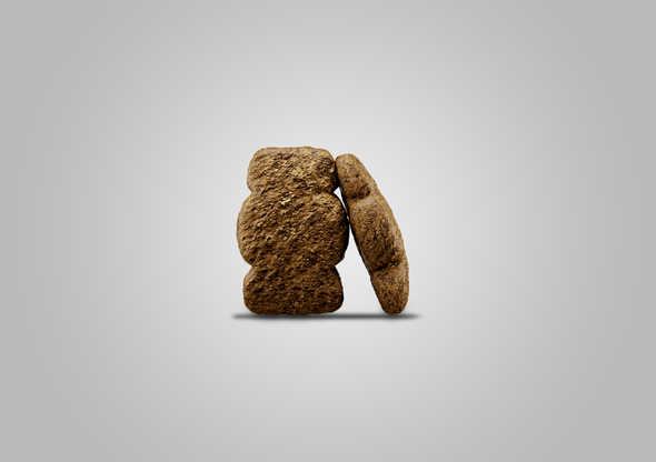 4,5kg karma Josera Kids dla młodych psów