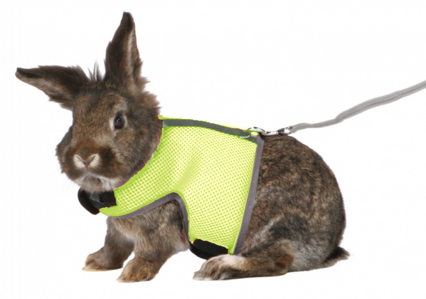 Trixie szelki pełne dla dużego królika