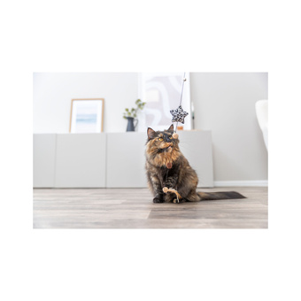 TRIVIE Wędka z gwiazdą, zabawka, dla kota, drewno/plusz, 50 cm, z kocimiętką