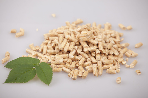 ANIMAX Pellet/żwirek drewniany 10L