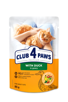 Club 4 Łapy Kot- Kaczka w sosie 85g
