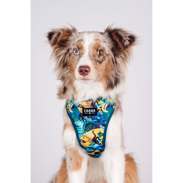 Chaba Szelki Guard Comfort Carnival L