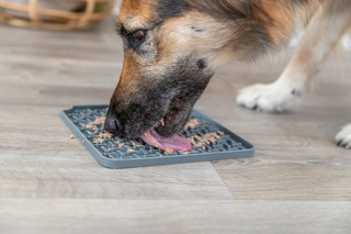 Trixie Mata do lizania Lick'n'Snack szara 20 × 20 cm