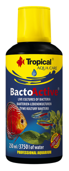 TROPICAL PREPARAT 100ml BACTO-ACTIVE