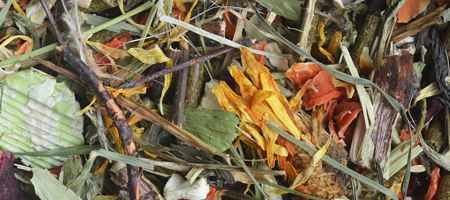 Korona Natury karma dla królików 750g