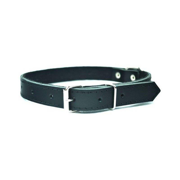 Chaba obroża skórzana czarna 16/45 - Szerokość 16 mm, Obwód max 41 cm