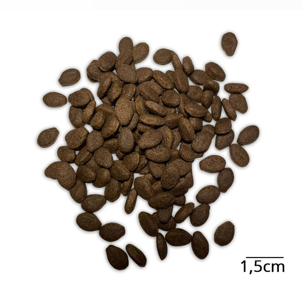 Karma dla średnich ras Baltica Adult Salmon Hypoallergenic M 1kg