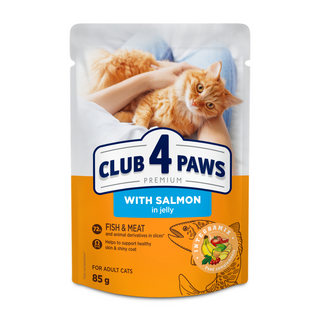 Club 4 Łapy Kot- Łosoś w galaretce - 85 g