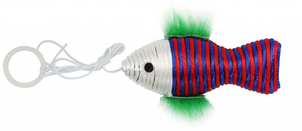 Pet Nova Ryba kolorowa 10x4cm 