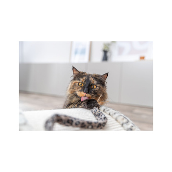 TRIVIE Wędka dla kota, plastik/plusz, 50 cm, z kocimiętką