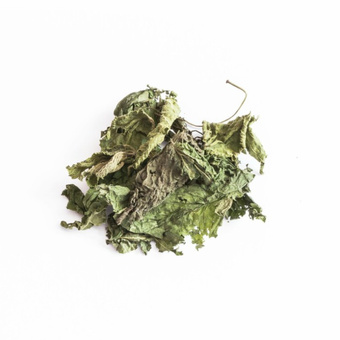 Tivo Pokrzywa - liść 100g