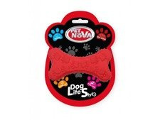 Pet Nova Kość Dental 10,5 cm