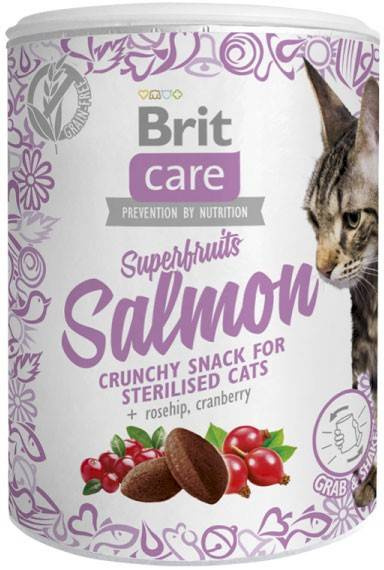 Brit Care Snack Cat Super Fruites Salmon 100 g