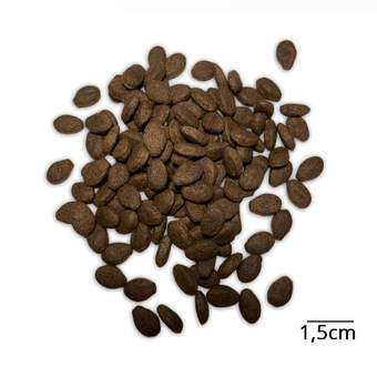 Karma dla średnich ras Baltica Adult Salmon Hypoallergenic M 1kg