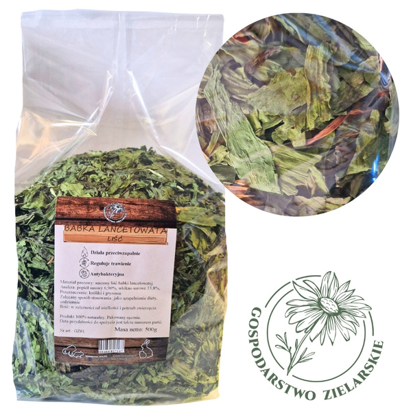 Babka lancetowata liść 500g GOSPODARSTWO ZIELARSKIE