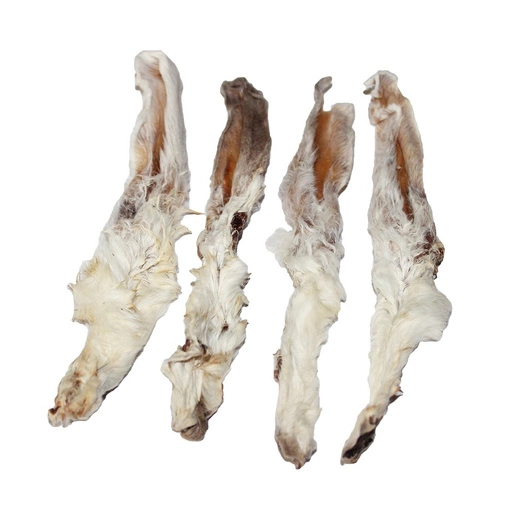 Ucho Królicze z włosem 10 szt.