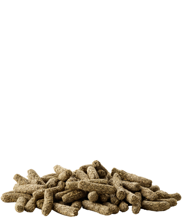 Versele-Laga Cuni Sensitive Complete Pokarm dla królików miniaturowych 0,5kg