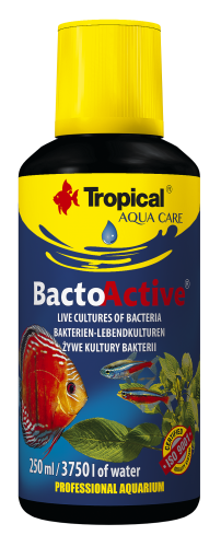 TROPICAL PREPARAT 100ml ANTYCHLOR