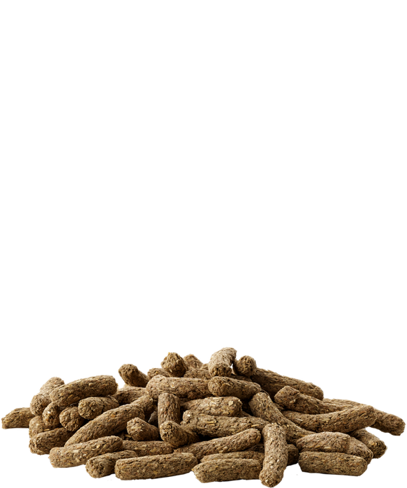 Versele-Laga Cavia Complete Pokarm dla świnek morskich 500g