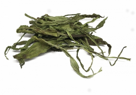 Jarnice Babka Lancetowata 150 g
