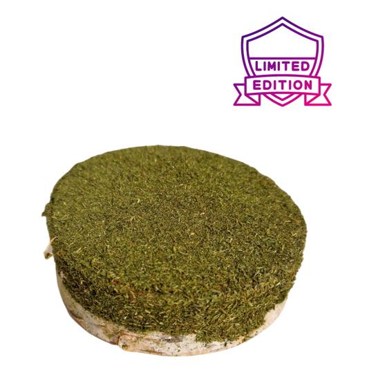 FactoryHerbs Krążek brzozowy z kolendrą 150g