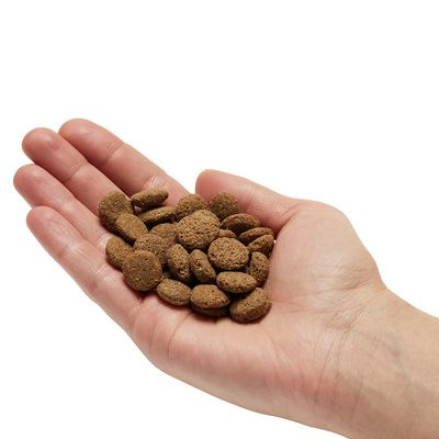 Mera Pure Sensitive Łosoś i ryż 12,5 kg