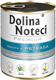 Dolina Noteci Pstrąg 800g