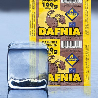 Katrinex Dafnia rozwielitka - 100g